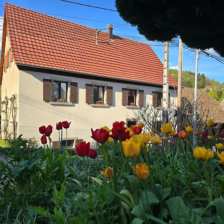 Echappee Verte Breitenbach-Haut-Rhin