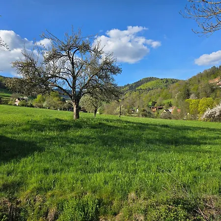Echappee Verte *